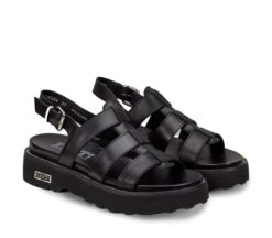 ZIGGY 3137 7 ZIGGY 3137 -Cult Negozio CLE104334 02 60cc6d34 7f6a 4f89 ab76 d21d41b28652