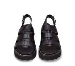 ZIGGY 3137 9 ZIGGY 3137 -Cult Negozio CLE104334 04 f2725f44 8ada 462b 9ed7 b24ea0da1708