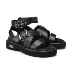 ZIGGY 3442 -Cult Negozio CLW344200 02