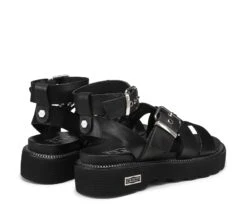 ZIGGY 3442 -Cult Negozio CLW344200 03