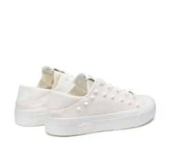 PLACEBO 3641 -Cult Negozio CLW364100 03 047154dd 8135 4a1e a712 9b74b3a82b22