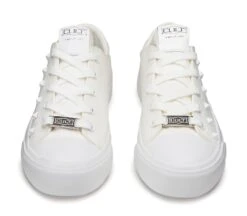 PLACEBO 3641 -Cult Negozio CLW364100 04 fbef0974 fc4f 44d4 a979 6fe30c8562a9