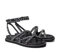 ROSHELLE 3886 -Cult Negozio CLW388600 02