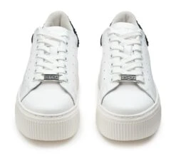 PERRY 4236 -Cult Negozio CLW423602 04