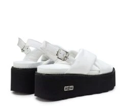 NANCY 4264 -Cult Negozio CLW426401 03