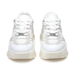 Cult TAYLOR 4452 -Cult Negozio CLW445205 04