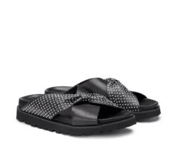 Cult LIZZO 4464 -Cult Negozio CLW446400 02